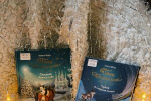 Подборка новогодних книг. Часть 2